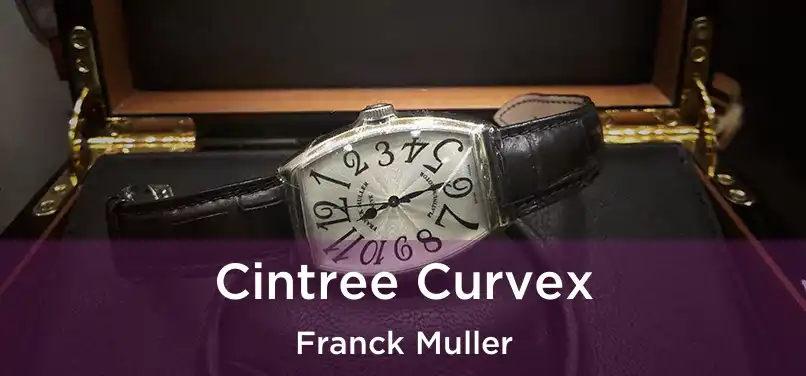  Cintree Curvex Franck Muller