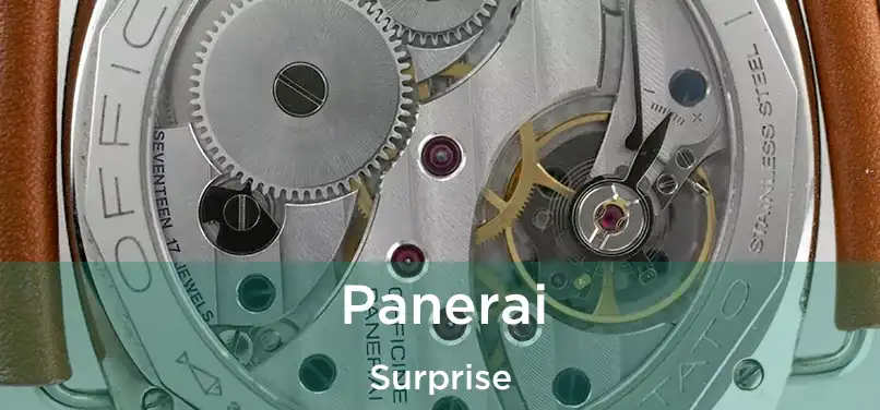  Panerai Surprise