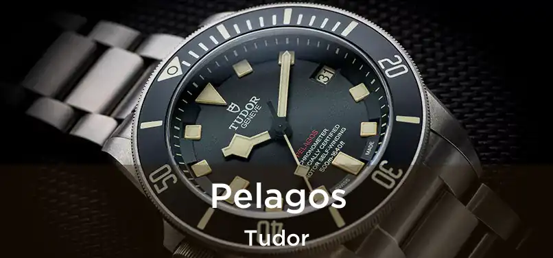  Pelagos Tudor