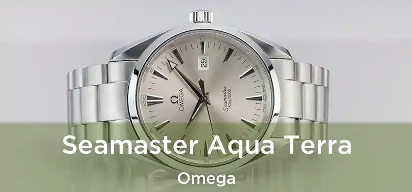  Seamaster Aqua Terra Omega