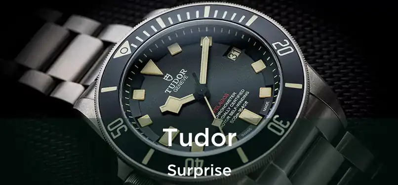  Tudor Surprise
