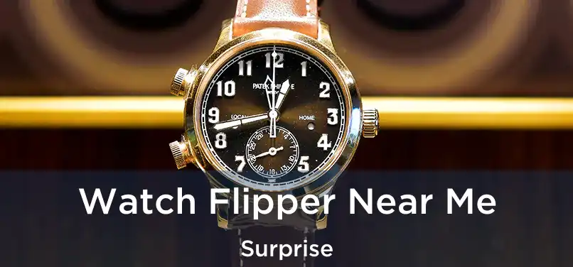  Watch Flipper Near Me Surprise